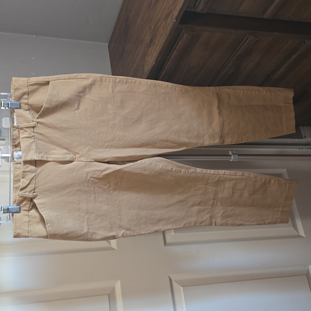 GAP Plus Tan Signature Skinny Ankle Pants